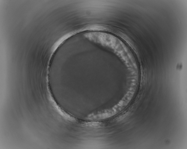 X0000111580853200908061323