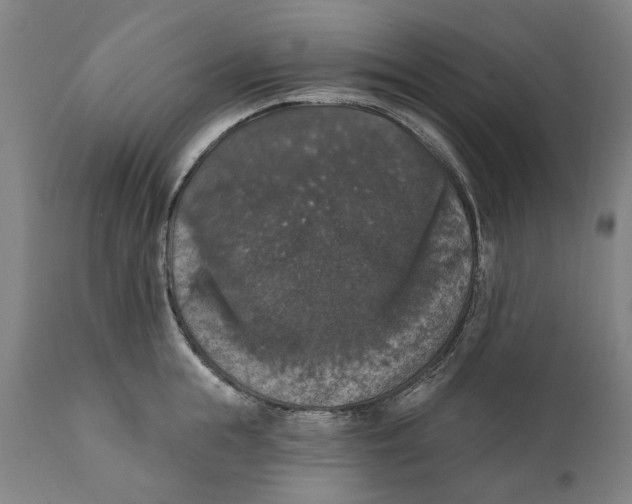 X0000111580855200908061323