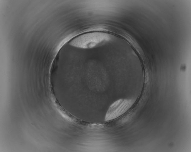 X0000111580858200908061323