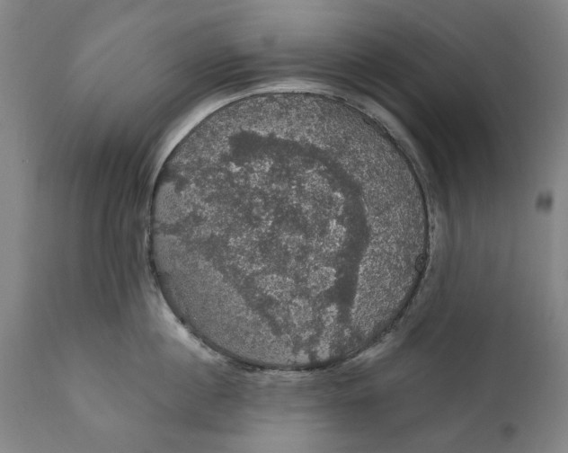 X0000111580860200908061323