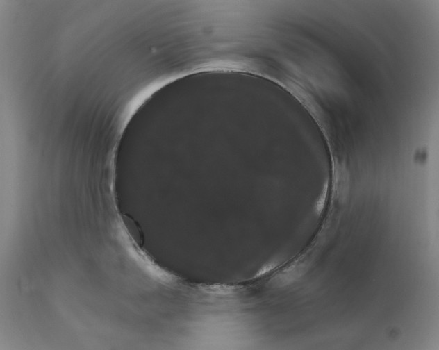 X0000111580862200908061323