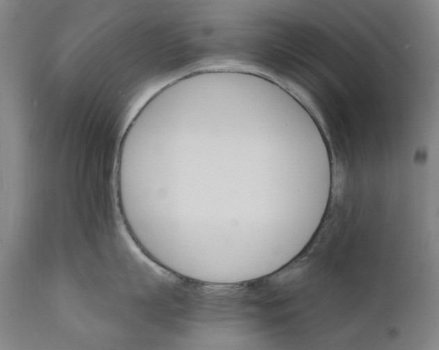 X0000111580863200908061323