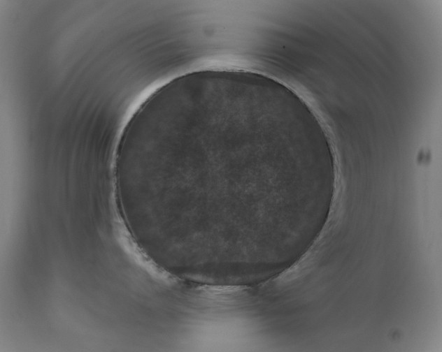 X0000111580864200908061323