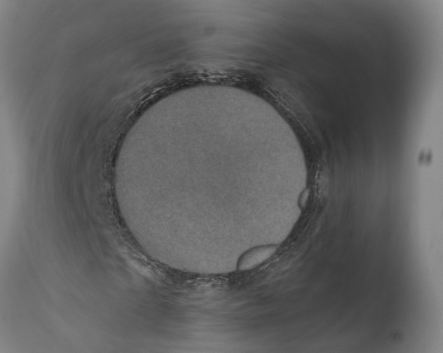 X0000111580865200908061322