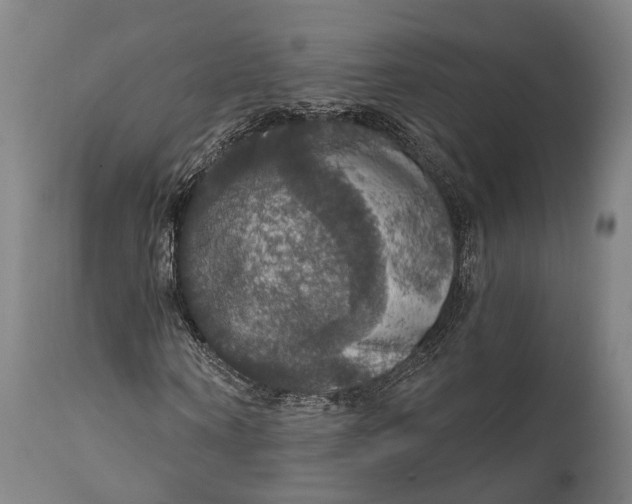 X0000111580866200908061322