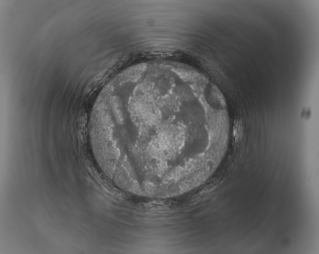 X0000111580867200908061322