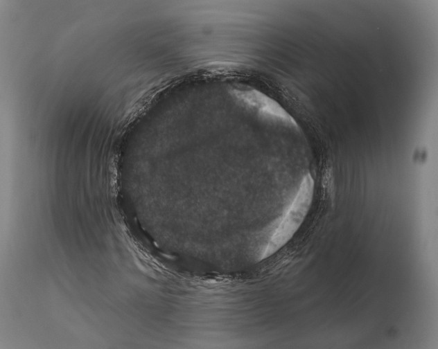 X0000111580868200908061322