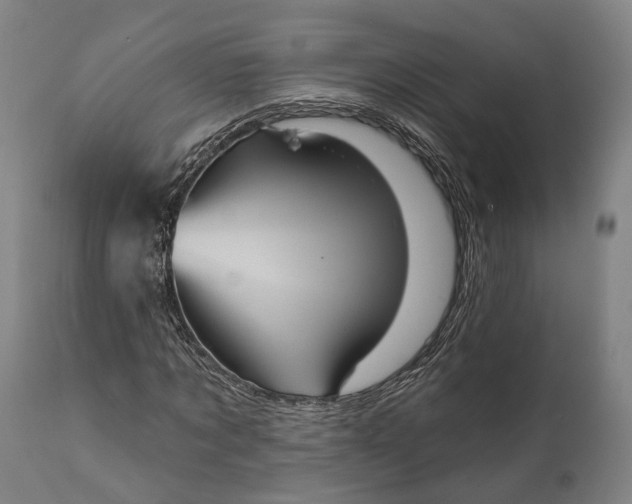 X0000111580869200908061322