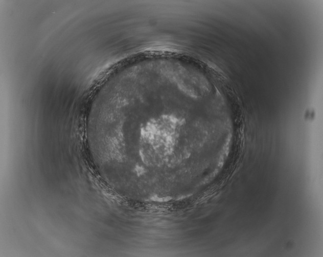 X0000111580870200908061322