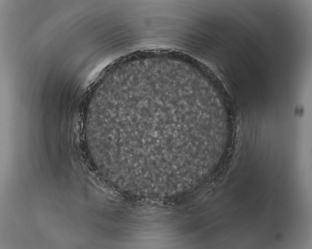 X0000111580871200908061322