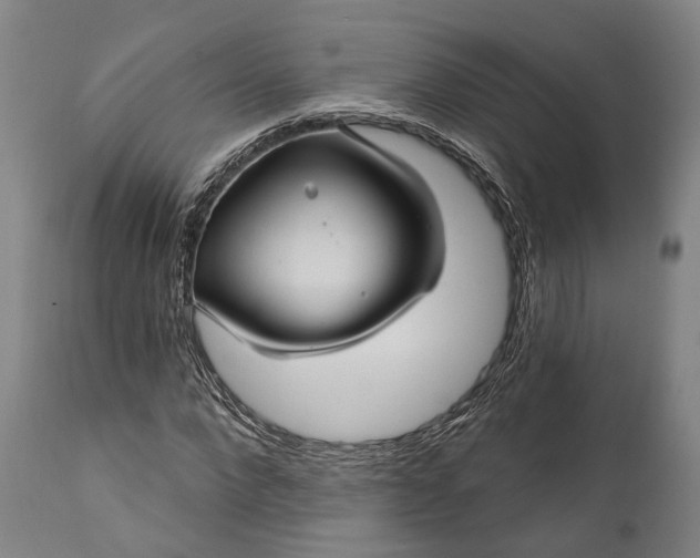 X0000111580872200908061322