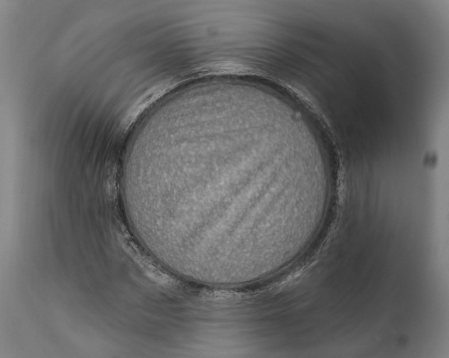 X0000111580873200908061322