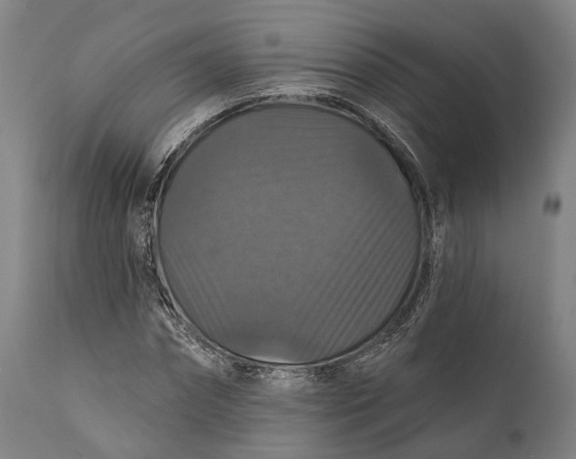 X0000111580874200908061322