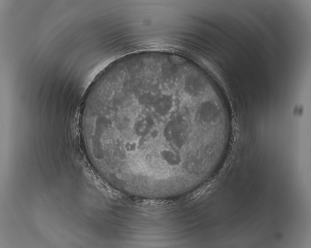 X0000111580875200908061322