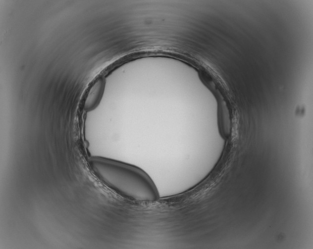 X0000111580876200908061322