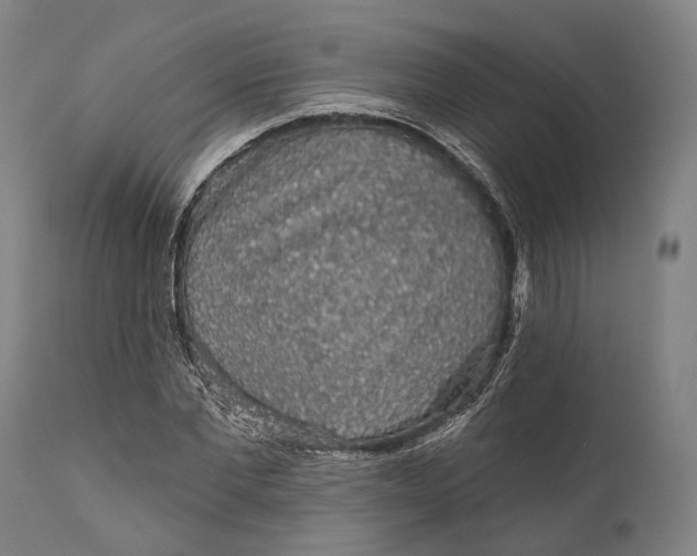 X0000111580877200908061322