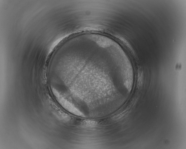 X0000111580878200908061322