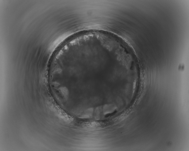 X0000111580879200908061322