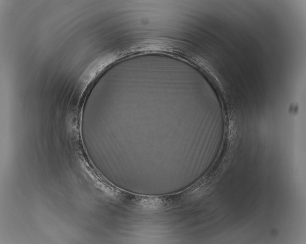 X0000111580882200908061322