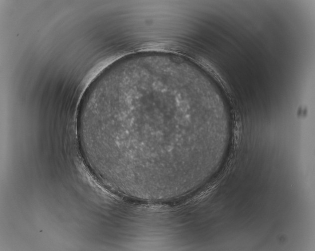 X0000111580884200908061322