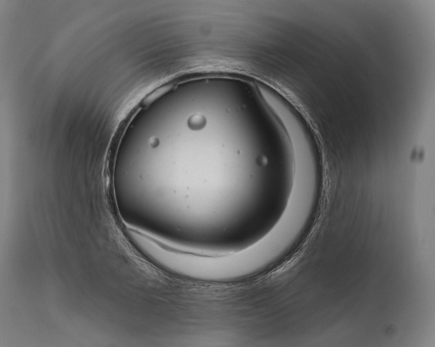 X0000111580885200908061322