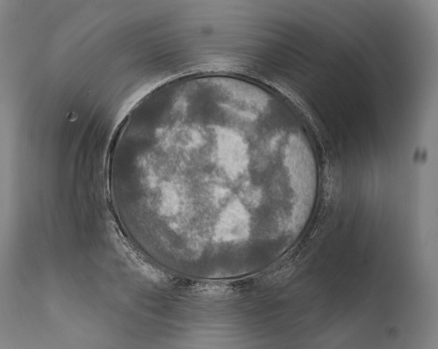 X0000111580886200908061322