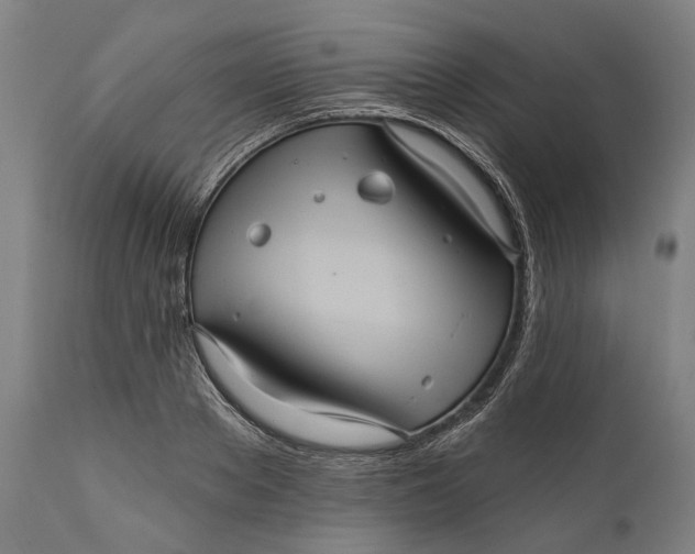 X0000111580889200908061322