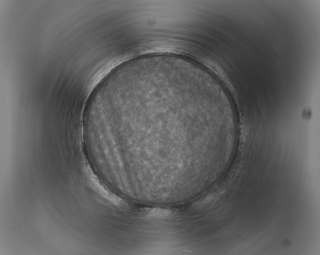 X0000111580890200908061322