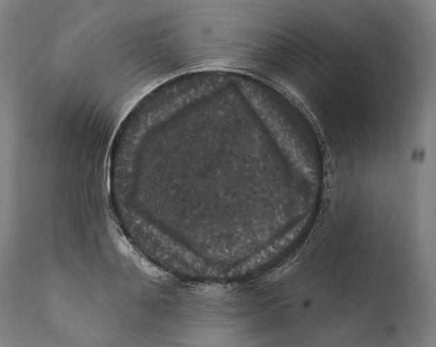 X0000111580892200908061322