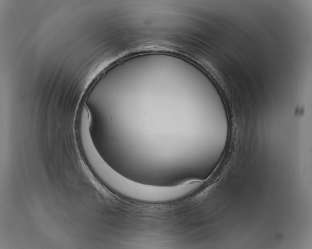 X0000111580893200908061322