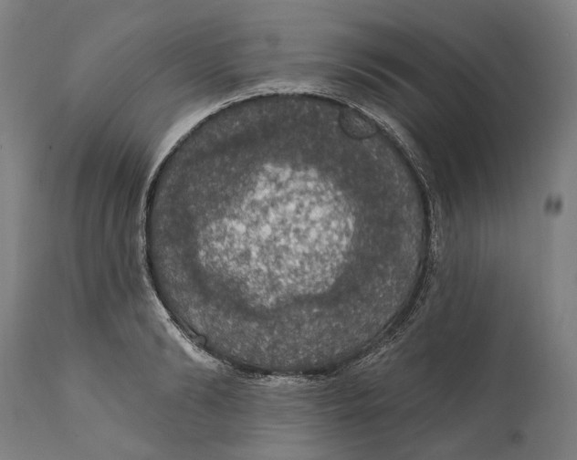 X0000111580894200908061322