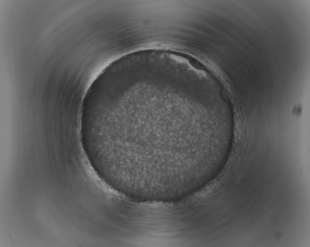 X0000111580896200908061322