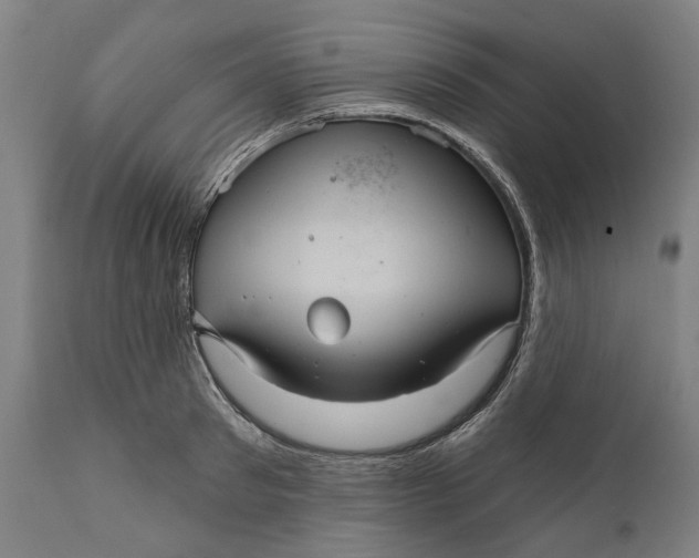 X0000111580897200908061322