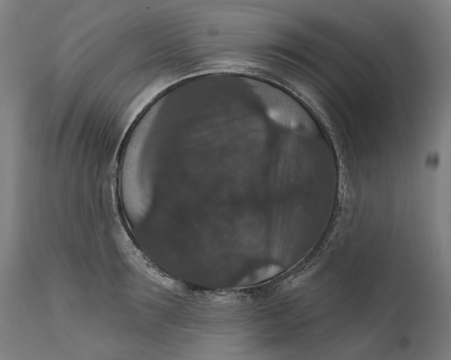 X0000111580899200908061322