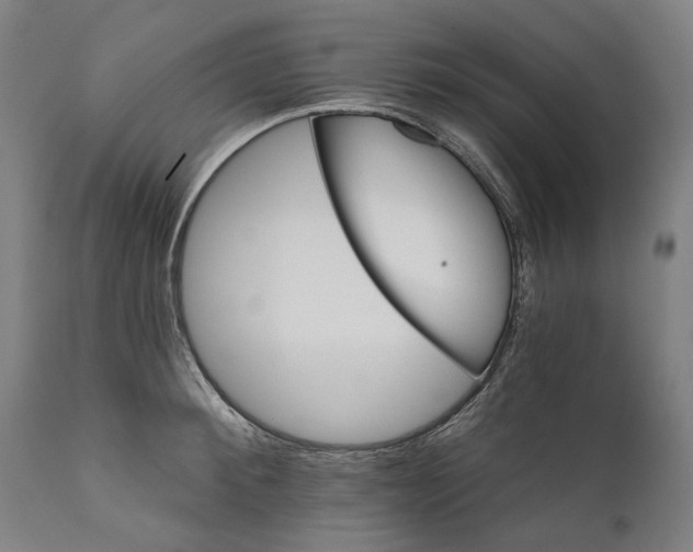 X0000111580900200908061322