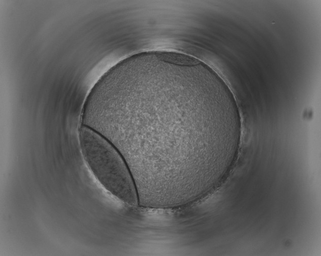 X0000111580901200908061322