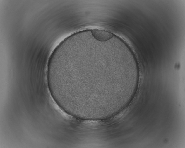 X0000111580902200908061322