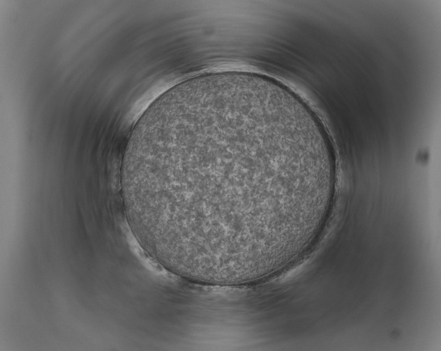 X0000111580905200908061322