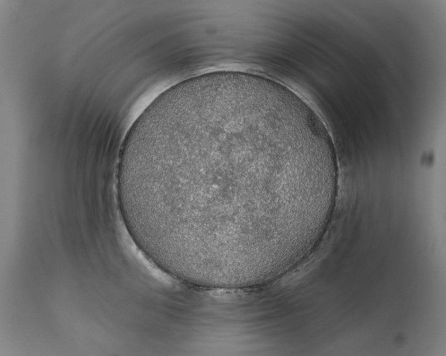 X0000111580906200908061322