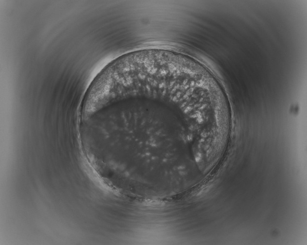 X0000111580907200908061322