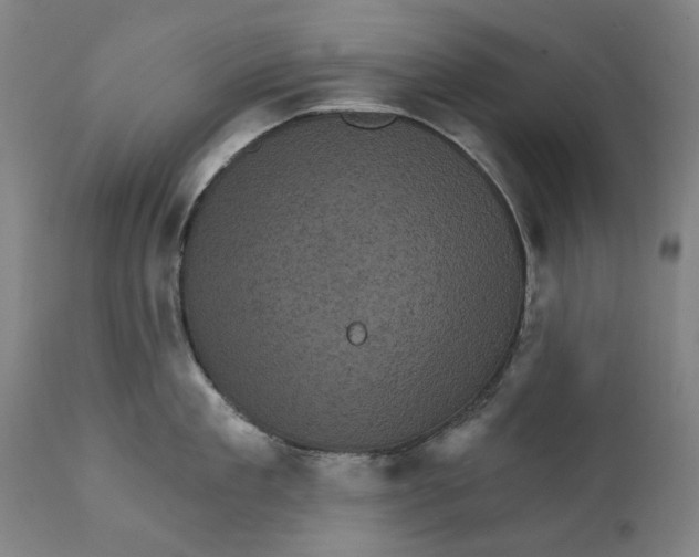 X0000111580909200908061322