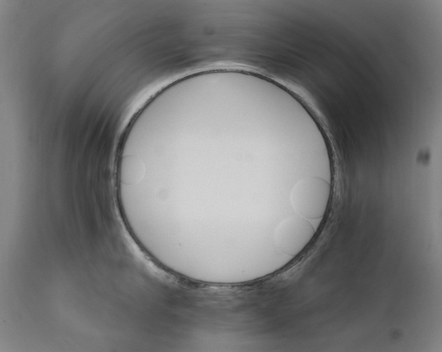 X0000111580910200908061322