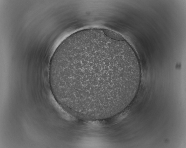 X0000111580911200908061322