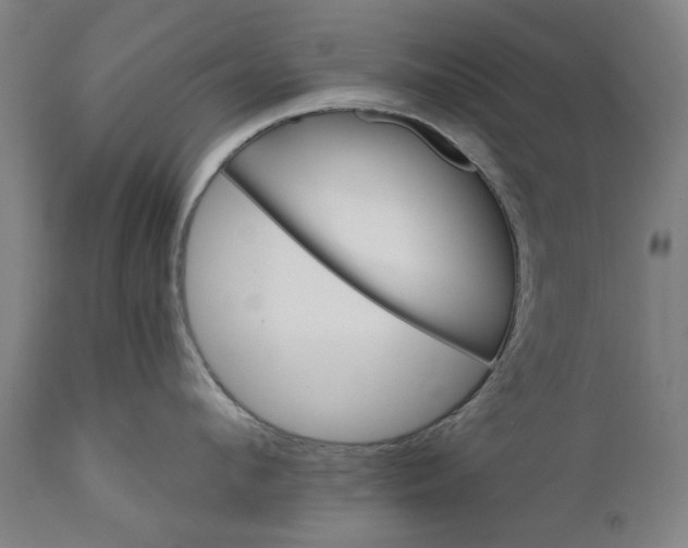 X0000111580912200908061322