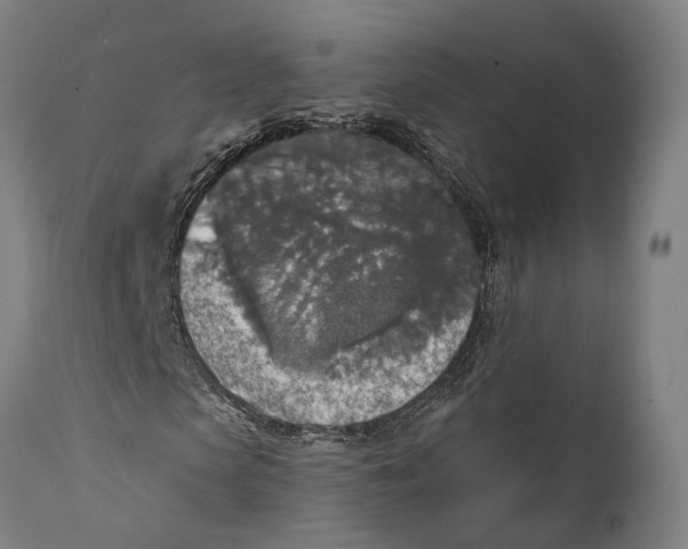 X0000111580913200908061321