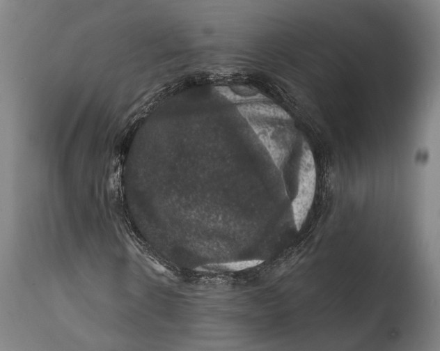 X0000111580914200908061321