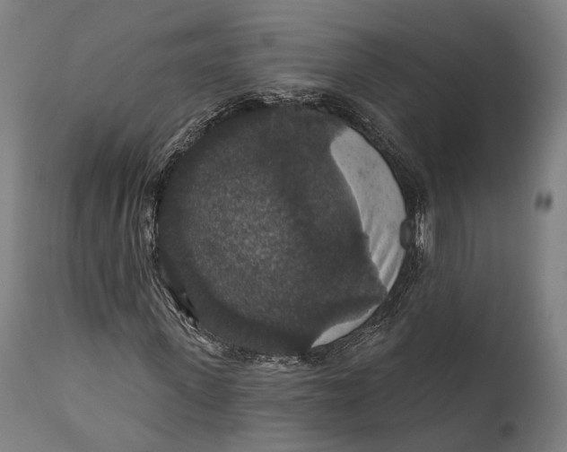 X0000111580915200908061321