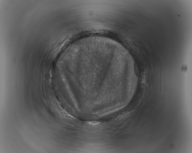 X0000111580916200908061321