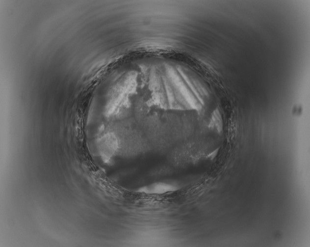 X0000111580917200908061321