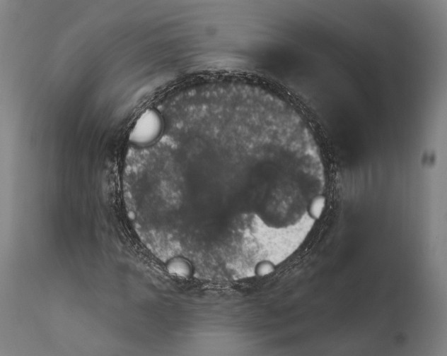 X0000111580918200908061321